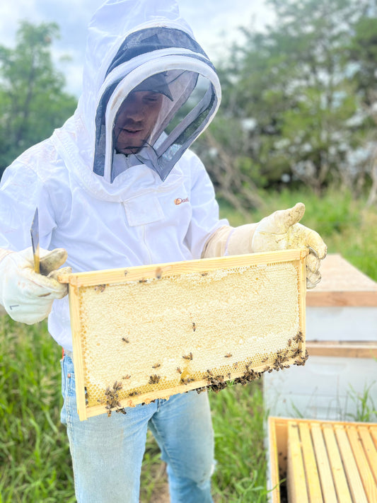 Regenerative Honey & Unfiltered - 1 Gallon