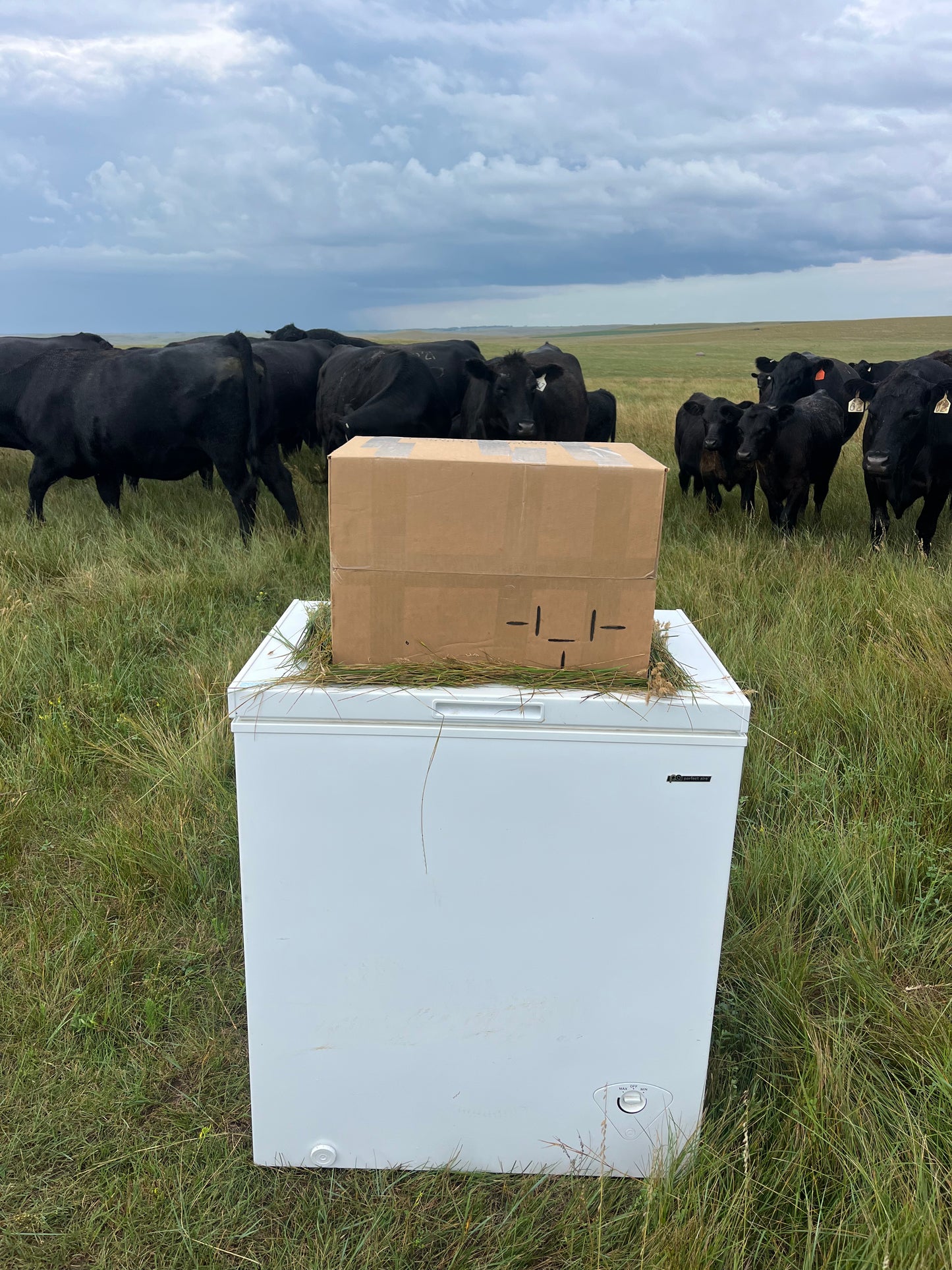 The Ultimate 25 lb Grass-Fed Burger Box - FREE SHIPPING