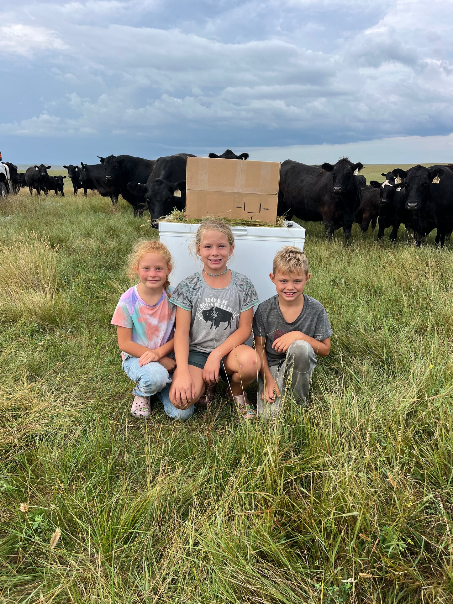 The Ultimate 25 lb Grass-Fed Burger Box - FREE SHIPPING